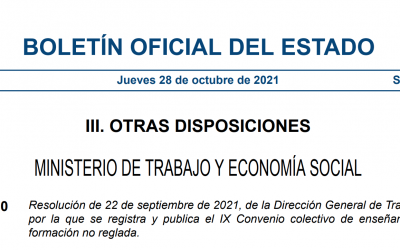 IX Convenio colectivo de enseñanza y formación no reglada